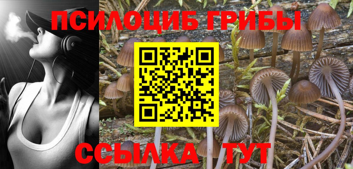 Галлюциногенные грибы мицелий  Галлюциногенные грибы мухоморы  Вход с VPN  Заводоуковск 