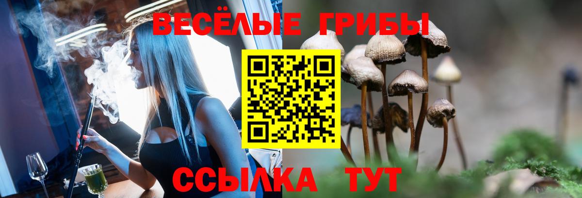Галлюциногенные грибы прущие грибы Заводоуковск