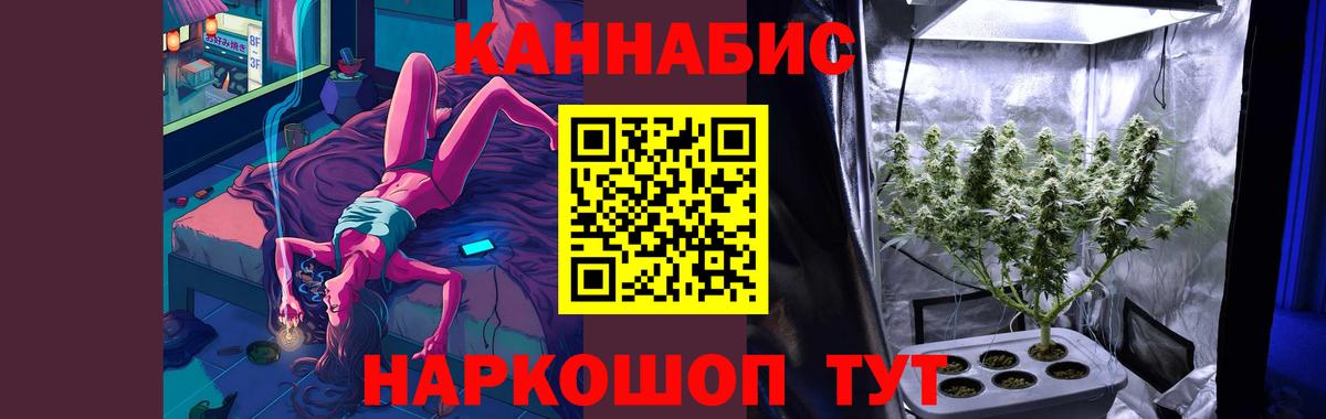 Бошки марихуана план  Каннабис сатива  Шишки марихуана White Widow  Вход с VPN  Заводоуковск 